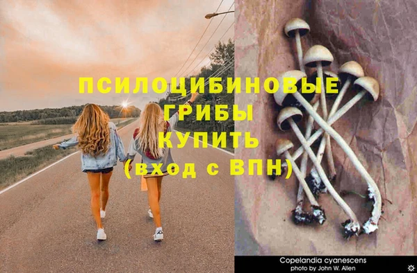 кокаин колумбия Алексин
